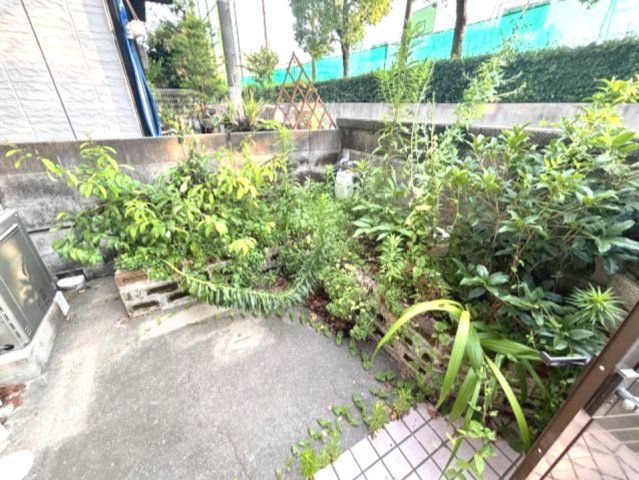 庭