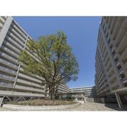 シティコート目黒2号棟の外観画像
