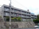 シャトー巌の間取り画像