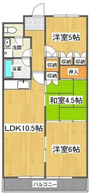 第19柴田マンションの間取り画像