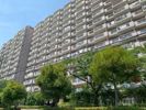 ライオンズマンション南市川の間取り画像