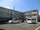 アーバン貫井の間取り画像