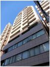 アトラスミオ浅草雷門の間取り画像