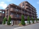 サンプレイス早宮の間取り画像