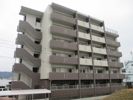ベレッツァの間取り画像