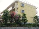 シャトー秋葉町の間取り画像