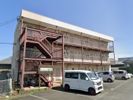 Anniversary竜洋の間取り画像