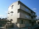 エムズ コートの間取り画像