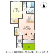 ジュピターの間取り画像
