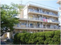 四ツ池マンション 2-の外観画像