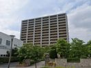 コンフォールスクエアさいたま新都心の間取り画像