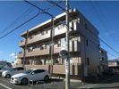 アバンダント初生の間取り画像