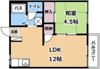 フェリーチェⅡの間取り画像