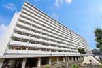ビレッジハウス向台タワー1号棟の間取り画像