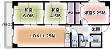 レクサスKORIの間取り画像