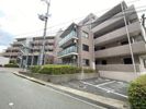 K緑地の外観