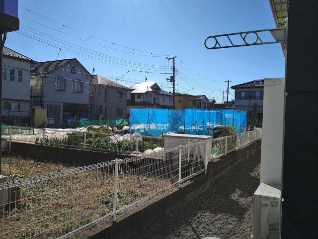 庭