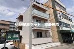 メゾン錦町の間取り画像
