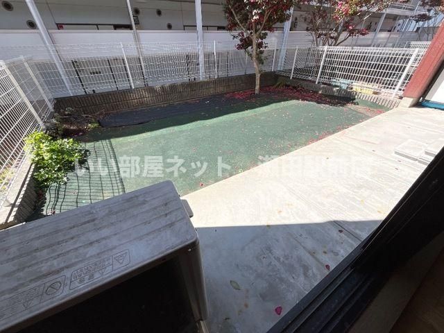 庭