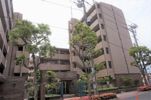 クオーレプロバンス南行徳Ⅱ(F-058)の間取り画像