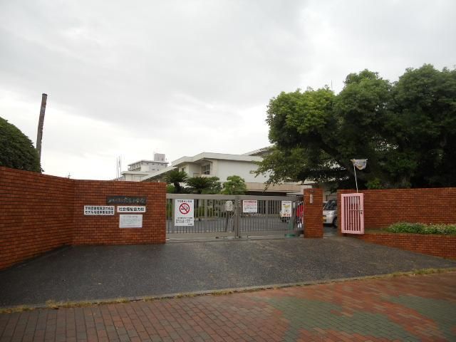 穴生小学校(300m)