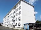 山根台第2住宅 D棟の間取り画像