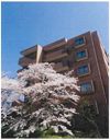 グレイスフォート桃山台の間取り画像