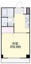 DIAS-UIIIの間取り画像