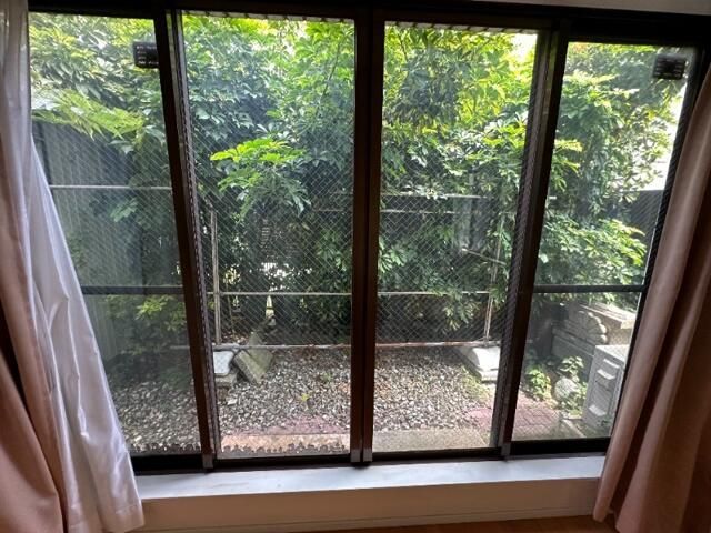 庭