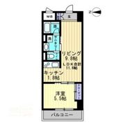 アルファレガロ中央町の間取り画像
