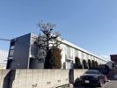 レオパレスαの間取り画像