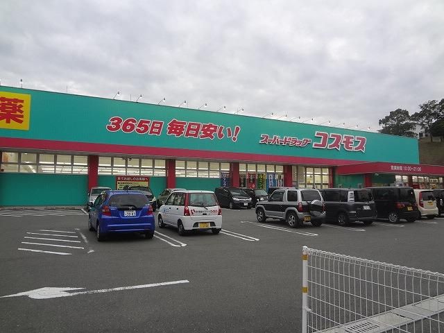 株式会社コスモス薬品/ディスカウントドラッグコスモ(977m)