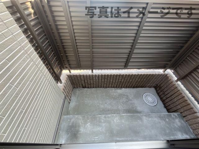 庭