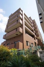 ニューリバー和光の外観画像