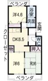 パラシオイトウの間取り画像