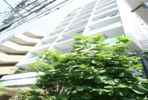 エフシティ亀戸の間取り画像
