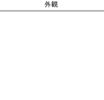 ブルーレースアゲートの外観