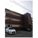 関口ハイツの外観画像