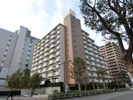 パイロットハウス東陽町の外観画像