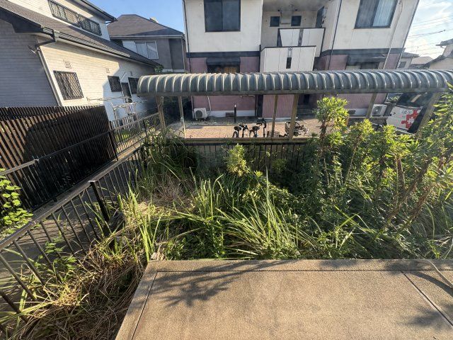 庭