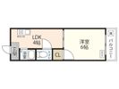 第5野地ビルの間取り画像