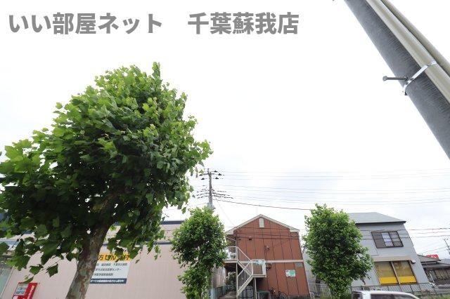 眺望