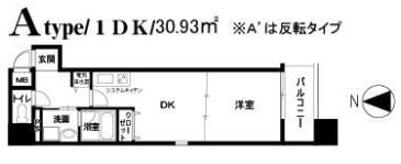 アムズメイプル扇町の間取り画像