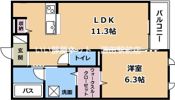 グレイスコートの間取り画像