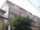 ラムール住吉の間取り画像