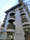 メゾンドール高殿の間取り画像