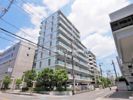 カルム土井の間取り画像
