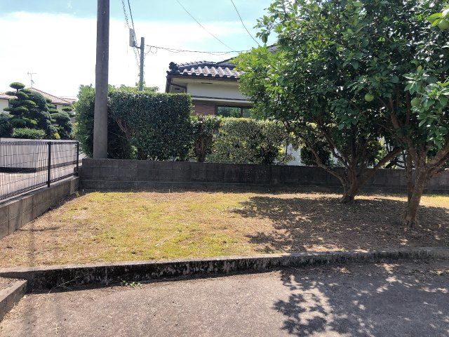 庭
