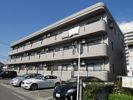 ラ・スペランツァの間取り画像