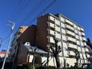 ハイタウン浜田山の間取り画像
